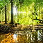 شقة Luxe 8-persoons Veluwe Wellness Met Prive Jacuzzi & Sauna - Gemeenschappelijk Zwembad -