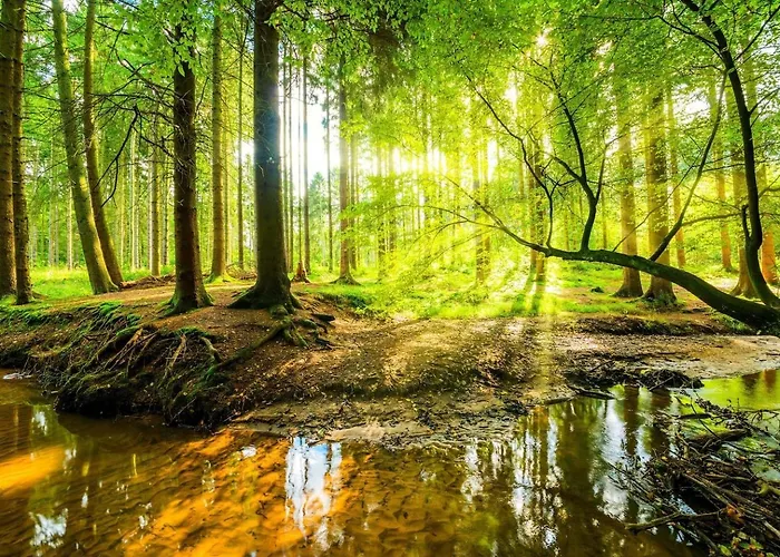 شقة Luxe 8-persoons Veluwe Wellness Met Prive Jacuzzi & Sauna - Gemeenschappelijk Zwembad -